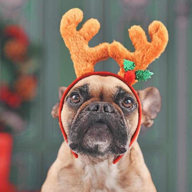 Special Holiday Hours