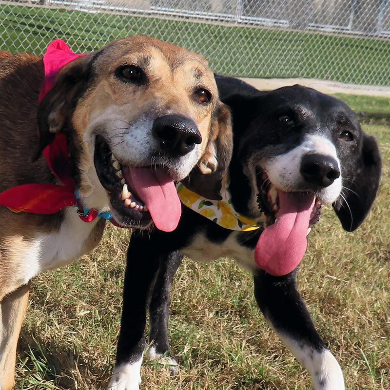 We Have a Walmart Registry!