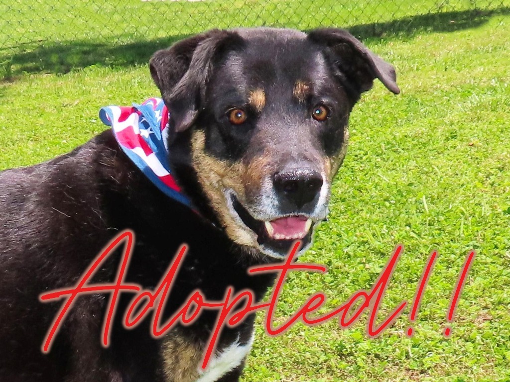 Casey Jones has a FURever Home!!